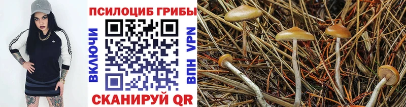 Галлюциногенные грибы ЛСД  Павлово 
